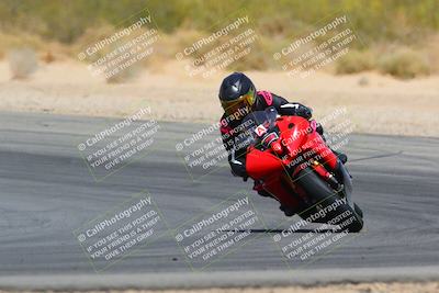 media/Apr-10-2022-SoCal Trackdays (Sun) [[f104b12566]]/Turn 10 (1pm)/